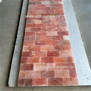 СОЛЯНАЯ ПЛИТКА С ПРОПИЛОМ 20х10х2,5 см шлифованная не торцованная 1017