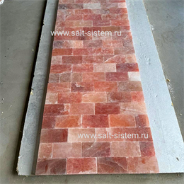 СОЛЯНАЯ ПЛИТКА С ПРОПИЛОМ 20х10х2,5 см шлифованная не торцованная 1017